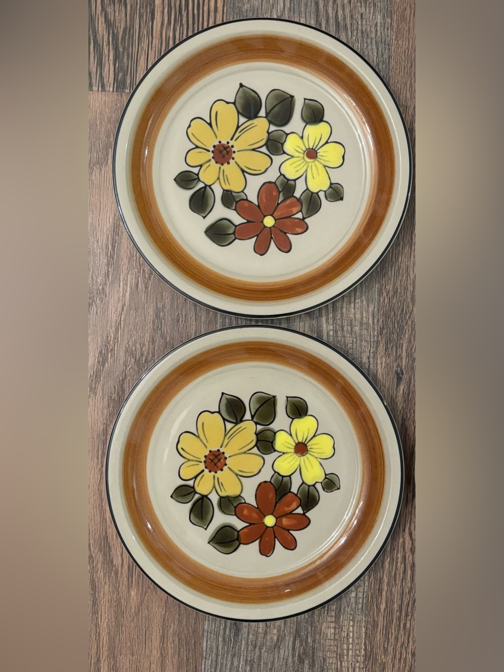 VTG 1970's JC Penney Daisy Vale Stoneware 10.75" Plates 4 Retro Japan Cottage‎